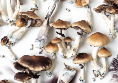 Using Psychedelics to Treat Chronic Pain
